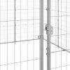 Outdoor Dog Kennel Galvanized Steel 260.5 ft¬≤